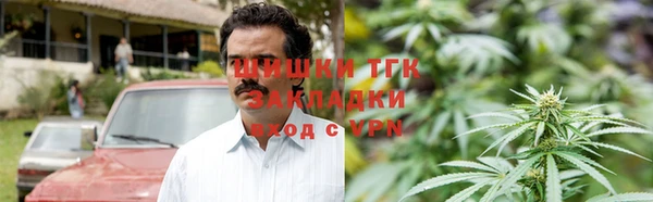 прущие крисы Богданович