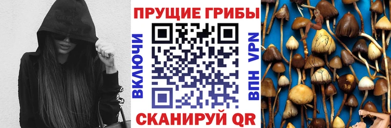 дарк нет официальный сайт  Новопавловск  Галлюциногенные грибы MAGIC MUSHROOMS  МЕГА онион 